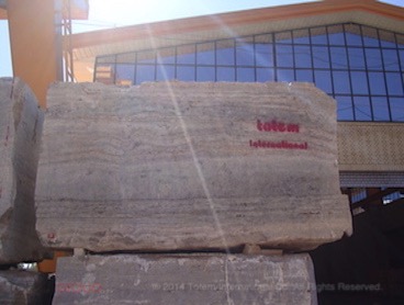 TGTR 312 - Silver travertine (Gray )